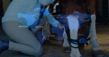 Diz çökmüş çizme giyen kadın ahırda dizginleri düzeltiyor, kahverengi atı, mavi ızgarası, kopyalama alanı var. Binicilik, kırsal, kırsal, takım çalışması, refah, rehabilitasyon, açık hava