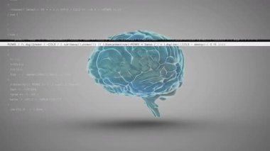 Kod kaydırmada, üç boyutlu turkuaz beyin nöral veri görselleştirmesini canlandırırken dönüyor. Sinirsel, teknoloji, dijital, veri, yapay, yenilik, fütüristik