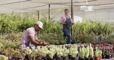 Kreşteki meslektaşlarım tableti tıkırdatırken ve bitki sağlığı verilerine danışırken sulu ürünleri inceliyorlar. Botanik, bahçıvanlık, tarım, yeşillik, işbirliği, teknoloji, sürdürülebilir