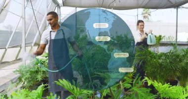 Erkek hortum ve kadın sularken dünya, serada yüzen sohbet simgelerini gösteriyor. Bahçıvanlık, bahçıvanlık, bitki bakımı, çevre dostu, profesyonel, ticari, modern