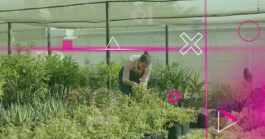 Sera bahçıvanına girmek, yeni gelişen bitkileri incelemek, çalıları budamak ve fidanlık bitkileri yetiştirmek. Bahçecilik, sürdürülebilir, botanik, endüstri, profesyonel, canlı, doğal