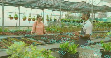 Müşteri seraya giriyor, teknisyen fideleri açıklıyor ve büyümeyi takip ediyor. Bahçecilik, teknoloji, yenilik, sürdürülebilirlik, biyolojik çeşitlilik, büyüme, çevre dostu