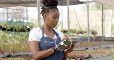 Bahçıvanlık yapan kadın tablet tıkırdatıyor ve fideleri çizelgelerle inceliyor. Teknoloji, sürdürülebilirlik, yenilik, tarım, çevre, bahçıvanlık, büyüme