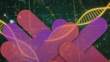 Çubuklar ızgara boyunca kayarak zayıflıyor dönen sarmallar ortaya çıkıyor genetik ağları görselleştiren kavisler oluşuyor. Fütürist, bilimsel, veri, görselleştirme, moleküler, teknoloji, soyut