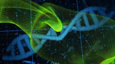 Neon yeşil dalga formu sol altta görünüyor, DNA veri akışını gösteren dönen 3 boyutlu sarmal boyunca dokuyor. Fütürist, soyut, teknoloji, dijital, görselleştirme, bilim, yenilik
