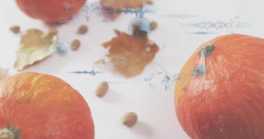 Balkabağının üzerinde beliren şeffaf mavi HUD sonbahar üretim analizi için kabuk dokusunu tarıyor. Sonbahar, mevsimsel, hasat, dijital, fütürist, minimalist, analitik