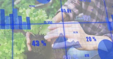 Tarım işçisi, marul bitkisini kaldırıyor ve çizelgeleri değiştirirken ölçümleri denetliyor. Kentsel bahçıvanlık, sürdürülebilir tarım, çevre izleme, veri görselleştirme, tarım