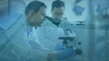 Bilim adamı, laboratuvar analizi için odak noktasını ayarlarken pipete tıklayarak örnek bırakıyor. Araştırma, kesinlik, yenilik, teknik, işbirliği, modern, analitik