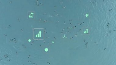 Deniz manzarası başlıyor, yüzücüler ve sörfçüler sürükleniyor, deniz ölçümlerini gösteren ikonlar kayıyor ve yanıp sönüyor. Denizci, sürdürülebilirlik, veri görselleştirme, çevre, boş zaman, açık hava, refah