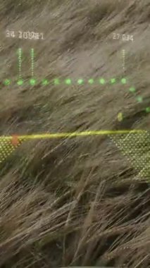 Çimen sallamasının üzerinde şema ve veri işleme animasyonları. Küresel iş, doğa ve dijital arayüz kavramı, dijital olarak oluşturulmuş video.