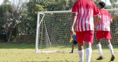 Futbol kırmızı çizgili forvet atışı dalışa neden oluyor ve kalecinin takım arkadaşlarına pas atmasını sağlıyor. Sporcular, takım çalışması, spor, rekabet, açık hava, aksiyon, zafer