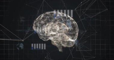 Beyaz düğümler başlangıç rotasyonunda, 3 boyutlu beyin modeli çubuklar ayarlanırken dönüyor, ağı gösteriyor. Gelecekçi, görselleştirme, teknoloji, yenilik, dijital, bağlantı, veri