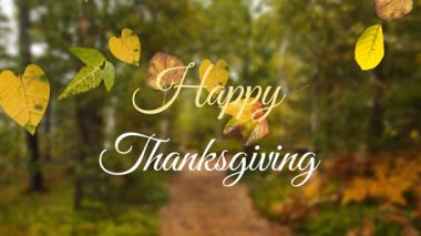 Açılış yolu, sonbahar yaprakları selamlaşırken altın 