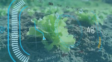 Marul filizlenen toprak HUD haritası zayıflayan izleme göstergesi Auto-Hybrid Electric 'e yükseliyor. Tarım, teknoloji, yenilik, sürdürülebilir, büyüme, hassasiyet, çevre