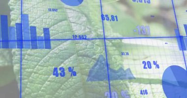 Yaprak üzerinde kaplamayı başlat, yüzdeleri güncelle ve verileri görselleştiren grafik segmentleri oluştur. Veri görselleştirme, bilimsel analiz, ekolojik teknoloji, dijital grafikler, doğal ortam