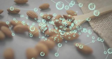 Teal düğümleri, masa başında kaşıkla badem etrafında şekilleniyor. Ağ haritalama bağlantıları başlatılıyor. Fındık, dijital ağ, bağlantı, teknoloji, yenilik, gıda sunumu, biyoteknoloji