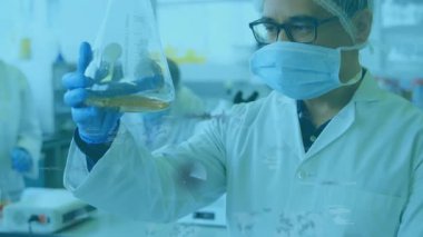 Laboratuvar teknisyeni kehribar şişesini ışık etkinleştirici kaplama çözümleme berraklığı için kaldırıyor. Bilim, araştırma, yenilik, kimya, analiz, teknoloji, kesinlik