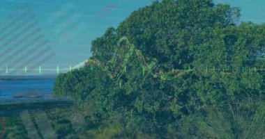 Neon yeşil çizgi dalga formuna dönüşüyor tepenin ve bataklık çimlerinin üzerinde verileri görselleştiriyor ve sonra kayboluyor. Peyzaj, veri görselleştirme, doğal ortam, dijital soyut, manzaralı, ekolojik, teknoloji