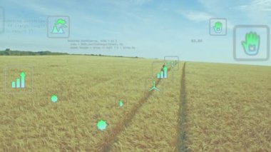 Çiftçi yürüyen buğday ikonları güncelleniyor, bükülüyor düşük nem kontrolü yapılıyor, tablet kaydırma geri alınıyor. Tarım, teknoloji, hassas tarım, dijital, yenilik, sürdürülebilirlik, veri