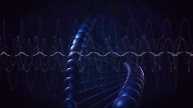 Sahneden başlayarak, sinüs dalgası salınıyor, mavi sarmal dönüyor ve çubukların verileri görüntülemesini sağlıyor. Soyut, fütüristik, dijital, görselleştirme, bilim, teknoloji, hareket
