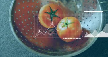 Domates, çizgi ve bar çizelgeleriyle süzgeçlerin üzerinde ızgara beliriyor. İçgörü için harmanlanan harita. Veri görselleştirme, analitik, dijital, teknoloji, iş dünyası, içgörü, gösterge paneli