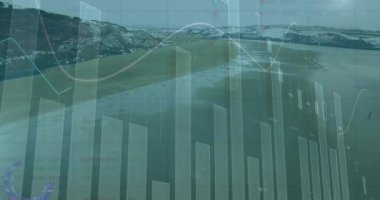 Grafik elementleri piyasa dalgalanmalarını gösterirken plaj girişini kaplayan yükselen çubuklar. Deniz manzarası, finans, veri görselleştirme, analitik, kıyı, teknoloji, istikrar