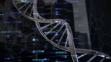 Metalik DNA sarmalı, saat yönünde dönen karanlık siluet üzerinde beliriyor. Nabız senkronize veri görselleri. Bilim, biyoteknoloji, veri, dijital, yenilik, gelecekçi, teknoloji