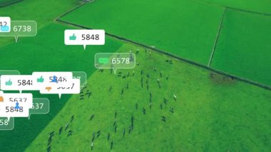 İnsansız hava aracı, taştan duvarları olan otlakları gösteriyor. İnsanların üzerinde beliren ikon kabarcıkları. Hava, açık hava, kırsal, işbirliği, bağlantı, görselleştirme, toplum