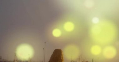 Woman on pier seeing golden bokeh drifting then receding revealing boats for tech showcase walking. Harbor, silhouette, sunset, tranquility, rustic, reflection, leisure