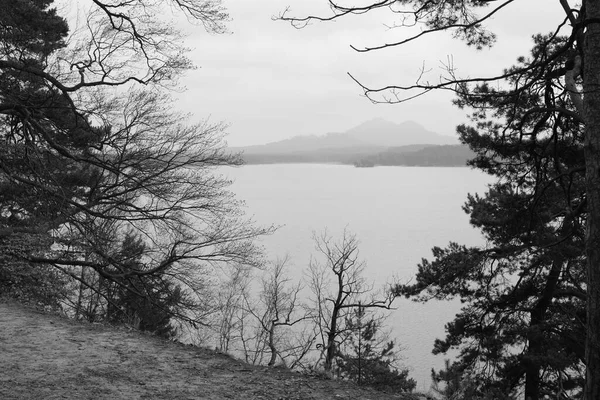 Stare Splavy Chequia Marzo 2023 Paisaje Con Lago Machovo Jezero —  Fotos de Stock