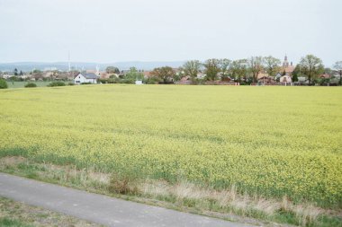 Çek Cumhuriyeti, Drouzkovice 'de 23. Cadde' de tecavüz sahası. Renkli filmlerde Nisan 2024 - taranan 35 mm filmin bulanıklığı ve gürültüsü kasıtlı olarak resimde bırakıldı