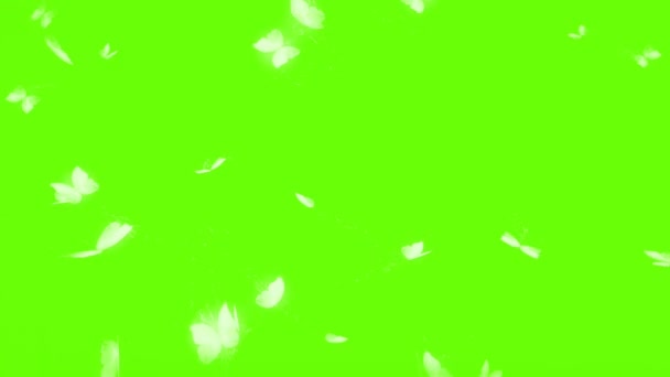 Group Butterflies Flying Green Screen Background Animation Stock Footage — Video Stock