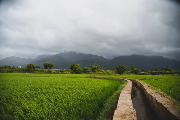 stock image Beautiful Agricultural Landscape With Background of Western Ghat Mountains with Dark Rainy Clouds in South India.