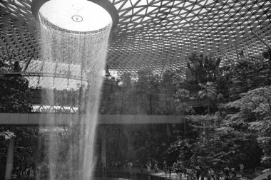 Jewel Changi Havaalanı 'ndaki World Larest Indoor Water Falls Singapur' da. Dünyanın en iyi havaalanı. Yağmur ormanlarında şelale Jewel Changi Havaalanı Singapur.