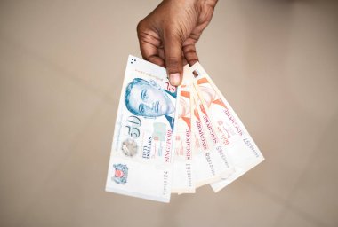 The Person Holding Multiple Singapur Doları.