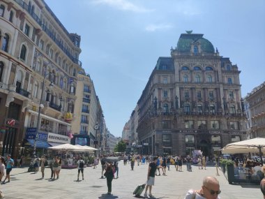 Viyana, Avusturya - 27 Temmuz 2024: Viyana 'daki St. Stephen Katedrali Kilisesi.