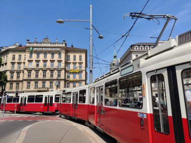 Viyana, Avusturya - 27 Temmuz 2024: Viyana 'daki St. Stephen Katedrali Kilisesi.