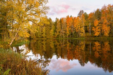 Sonbahar manzarasına bak
