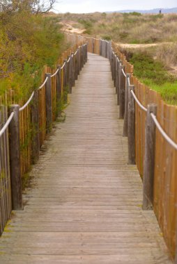 Kumulların ortasındaki patika.