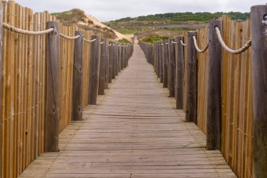 Baltık Denizi plajı