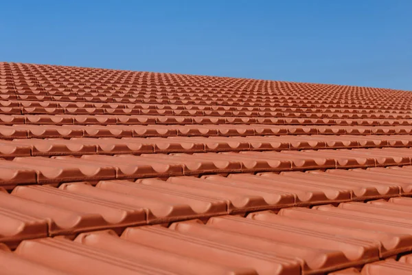 roof tile with a red roof