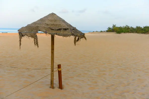 桑给巴尔岛上空旷的木制海滩 — 图库照片