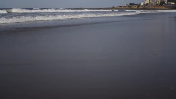 生活在大西洋彼岸的海滩 — 图库视频影像