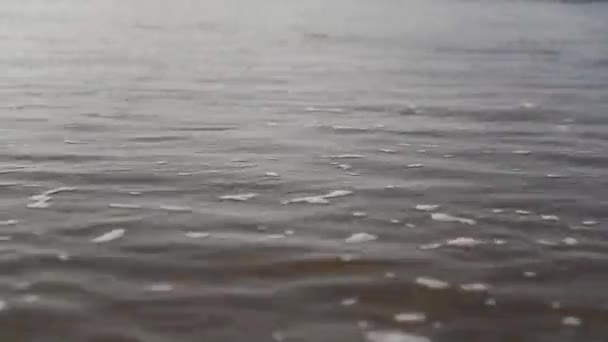 Havsvåg Sanden — Stockvideo