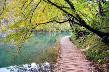 Hırvatistan 'ın Plitvice Gölleri Ulusal Parkı' nın sakin sularının yanında kıvrılan ahşap yol, canlı sonbahar ağaçları ve doğal kireçtaşı kayalıklarıyla çevrili..