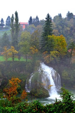 Rastoke Hırvatistan. 8 Ekim 2015. Yağmurlu bir öğleden sonra yeşil ve portakal ağaçlarının ortasında görkemli bir şelale görüldü.