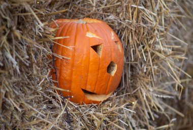 Evde sonbahar balkabakları süslemek. Geleneksel Şükran Günü ve Cadılar Bayramı dekorasyonu. Sonbaharın malları