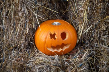 Evde sonbahar balkabakları süslemek. Geleneksel Şükran Günü ve Cadılar Bayramı dekorasyonu. Sonbaharın malları