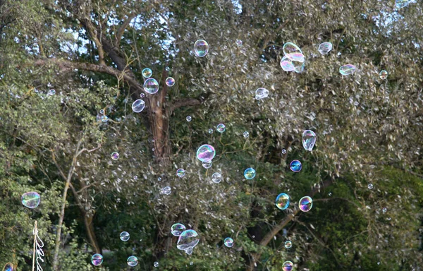 Мыльные Пузыри Природе Фоновое Размытие — стоковое фото