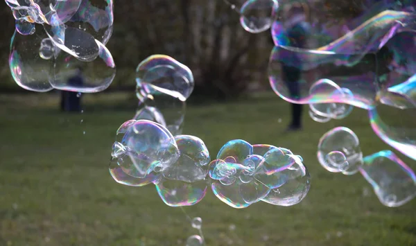 Burbujas Jabón Naturaleza Como Desenfoque Fondo — Foto de Stock
